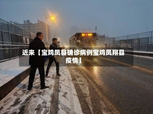 近来【宝鸡凤县确诊病例宝鸡凤翔县疫情】