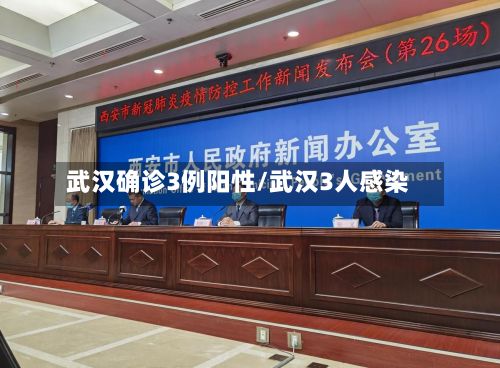 武汉确诊3例阳性/武汉3人感染