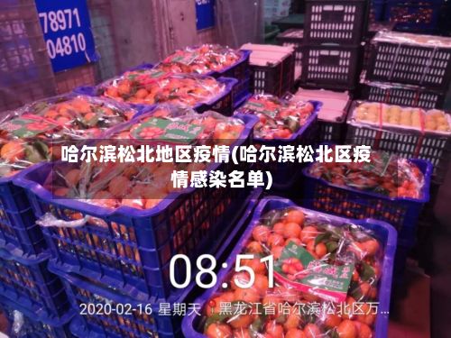 哈尔滨松北地区疫情(哈尔滨松北区疫情感染名单)