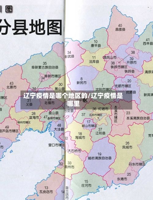 辽宁疫情是哪个地区的/辽宁疫情是哪里