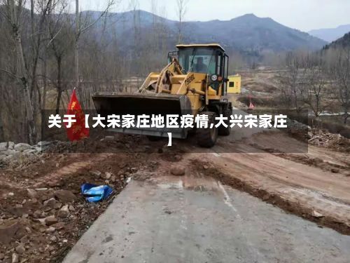 关于【大宋家庄地区疫情,大兴宋家庄】