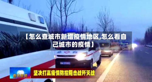 【怎么查城市新增疫情地区,怎么看自己城市的疫情】-第3张图片