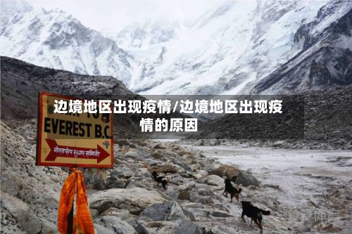 边境地区出现疫情/边境地区出现疫情的原因