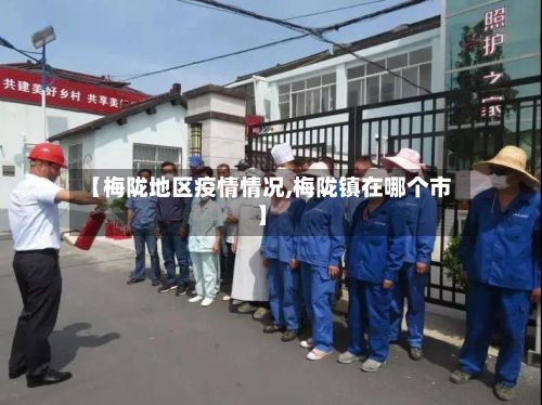 【梅陇地区疫情情况,梅陇镇在哪个市】