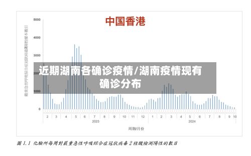 近期湖南各确诊疫情/湖南疫情现有确诊分布
