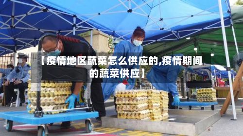 【疫情地区蔬菜怎么供应的,疫情期间的蔬菜供应】-第2张图片