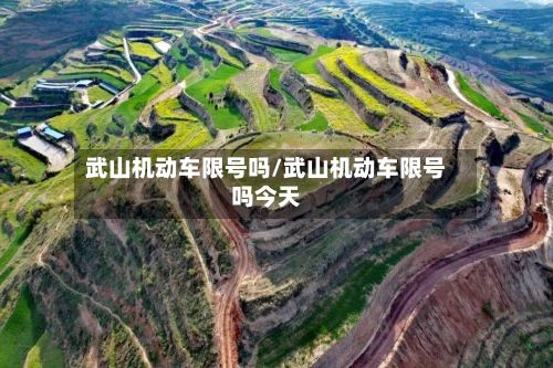 武山机动车限号吗/武山机动车限号吗今天-第1张图片