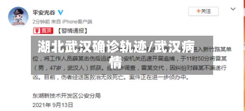 湖北武汉确诊轨迹/武汉病情