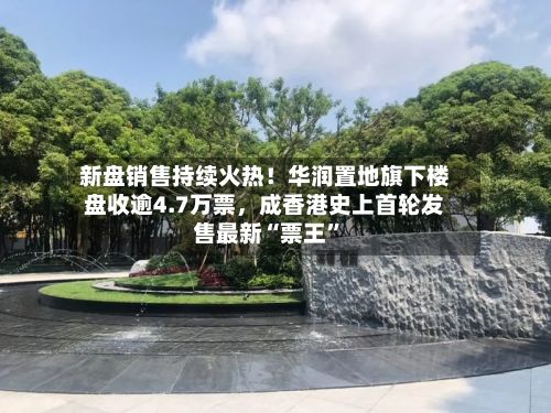 新盘销售持续火热！华润置地旗下楼盘收逾4.7万票，成香港史上首轮发售最新“票王”-第3张图片