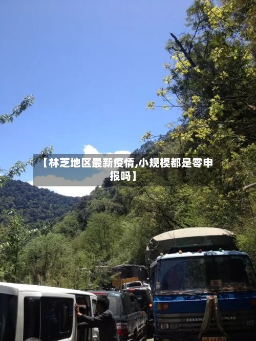 【林芝地区最新疫情,小规模都是零申报吗】-第2张图片