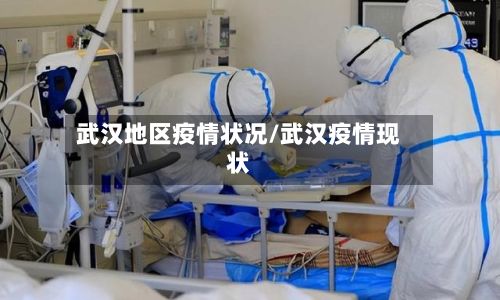 武汉地区疫情状况/武汉疫情现状