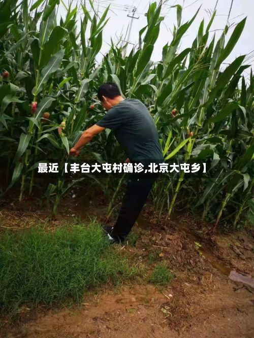 最近【丰台大屯村确诊,北京大屯乡】
