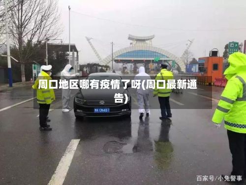 周口地区哪有疫情了呀(周口最新通告)-第3张图片