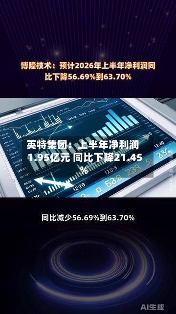 英特集团:上半年净利润1.95亿元 同比下降21.45%-第2张图片