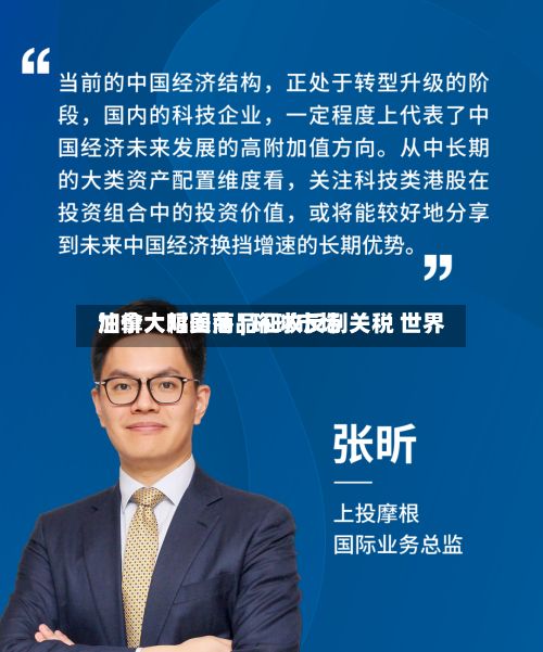 加拿大对美商品征收反制关税 世界油价大幅回落 | 环球市场