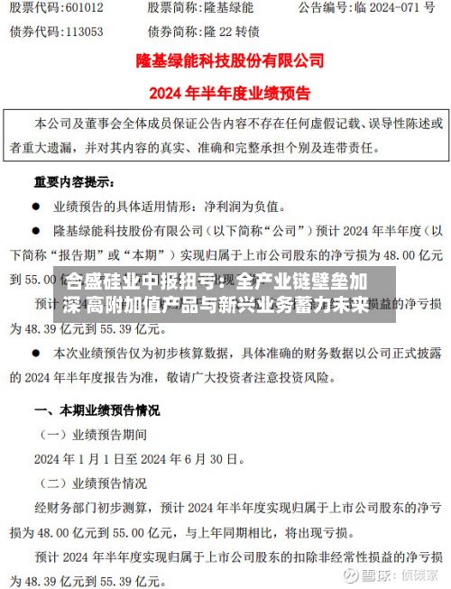 合盛硅业中报扭亏:全产业链壁垒加深 高附加值产品与新兴业务蓄力未来-第2张图片