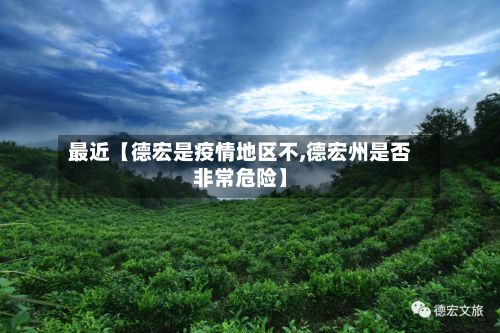 最近【德宏是疫情地区不,德宏州是否非常危险】-第1张图片