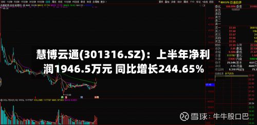慧博云通(301316.SZ):上半年净利润1946.5万元 同比增长244.65%-第1张图片