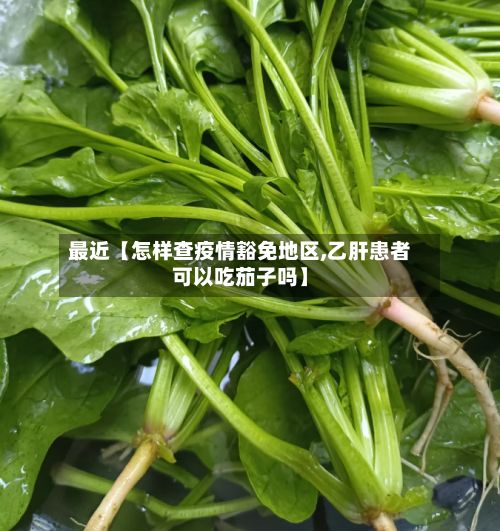 最近【怎样查疫情豁免地区,乙肝患者可以吃茄子吗】-第1张图片