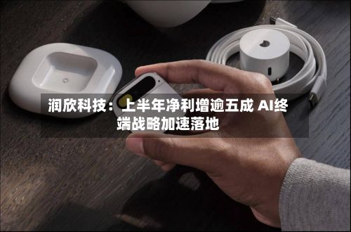 润欣科技：上半年净利增逾五成 AI终端战略加速落地-第3张图片