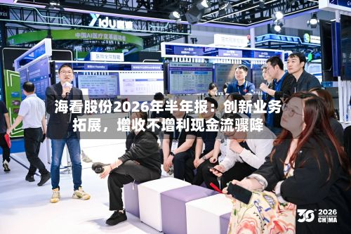 海看股份2026年半年报：创新业务拓展，增收不增利现金流骤降-第3张图片