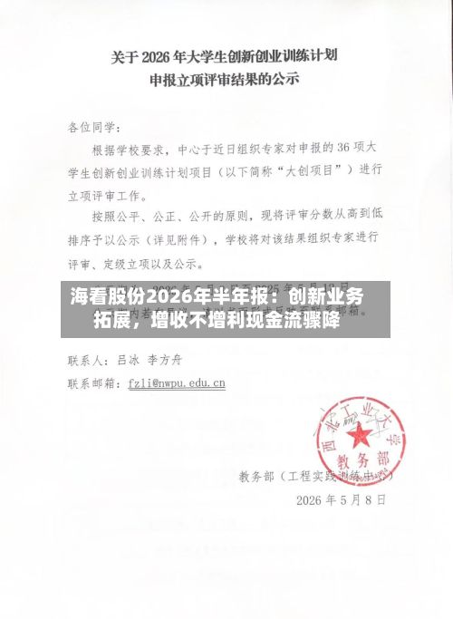 海看股份2026年半年报：创新业务拓展，增收不增利现金流骤降-第2张图片