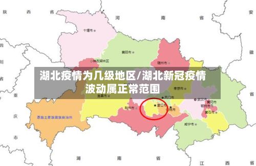 湖北疫情为几级地区/湖北新冠疫情波动属正常范围