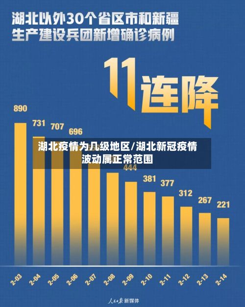 湖北疫情为几级地区/湖北新冠疫情波动属正常范围-第3张图片
