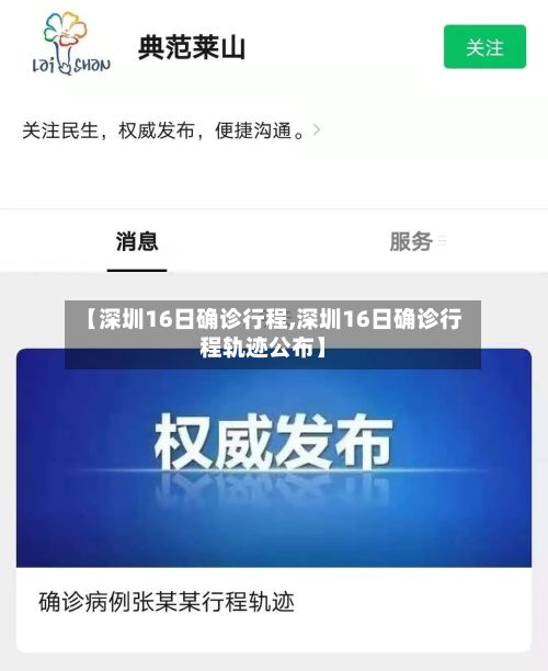 【深圳16日确诊行程,深圳16日确诊行程轨迹公布】-第2张图片