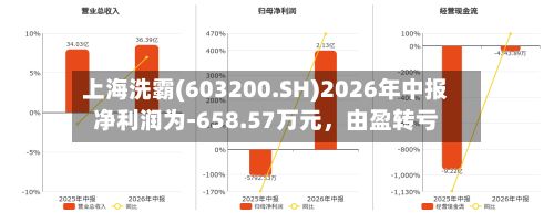 上海洗霸(603200.SH)2026年中报净利润为-658.57万元，由盈转亏-第2张图片