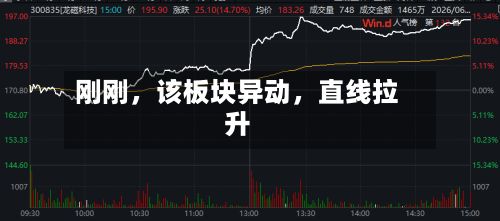 刚刚，该板块异动	，直线拉升-第2张图片