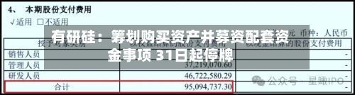 有研硅:筹划购买资产并募资配套资金事项 31日起停牌-第2张图片