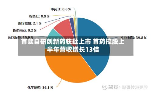 首款自研创新药获批上市 首药控股上半年营收增长13倍-第2张图片