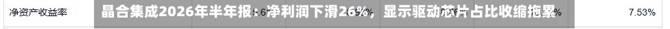 晶合集成2026年半年报：净利润下滑26%，显示驱动芯片占比收缩拖累盈利-第2张图片