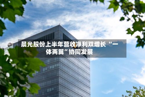 晨光股份上半年营收净利双增长 “一体两翼”协同发展-第2张图片