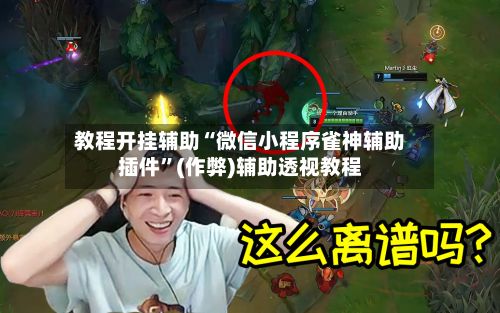教程开挂辅助“微信小程序雀神辅助插件	”(作弊)辅助透视教程-第2张图片
