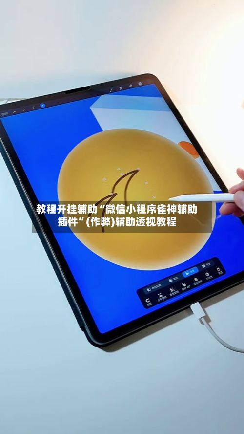 教程开挂辅助“微信小程序雀神辅助插件”(作弊)辅助透视教程-第3张图片