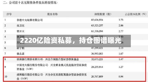 2220亿险资私募，持仓图谱曝光-第2张图片