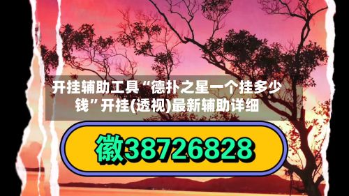 开挂辅助工具“德扑之星一个挂多少钱”开挂(透视)最新辅助详细-第2张图片