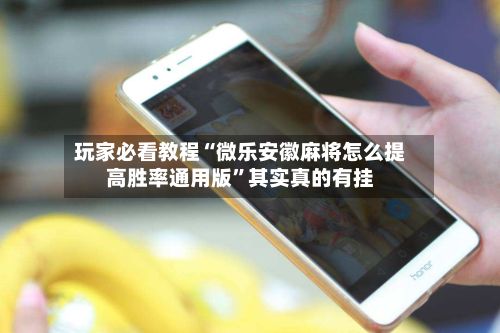 玩家必看教程“微乐安徽麻将怎么提高胜率通用版”其实真的有挂-第2张图片