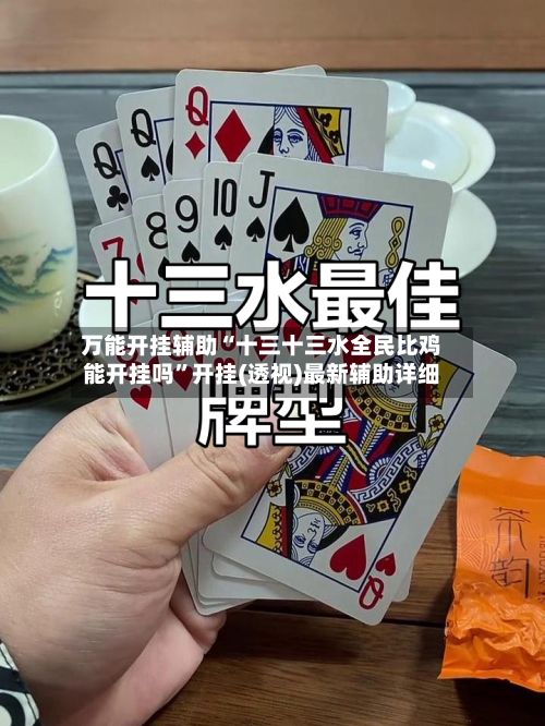 万能开挂辅助“十三十三水全民比鸡能开挂吗”开挂(透视)最新辅助详细
