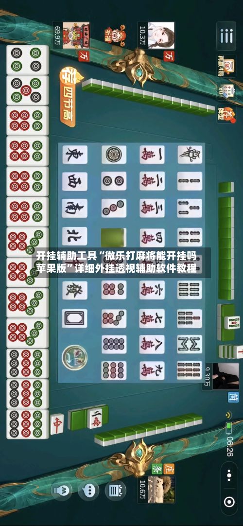 开挂辅助工具“微乐打麻将能开挂吗苹果版	”详细外挂透视辅助软件教程-第2张图片