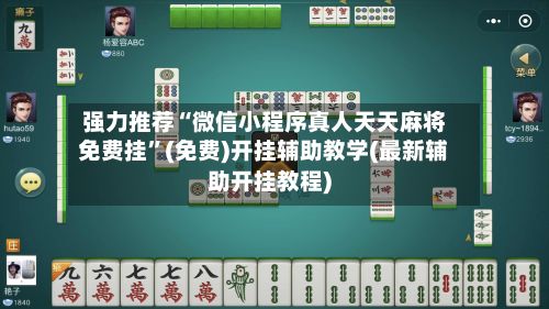 强力推荐“微信小程序真人天天麻将免费挂”(免费)开挂辅助教学(最新辅助开挂教程)-第2张图片