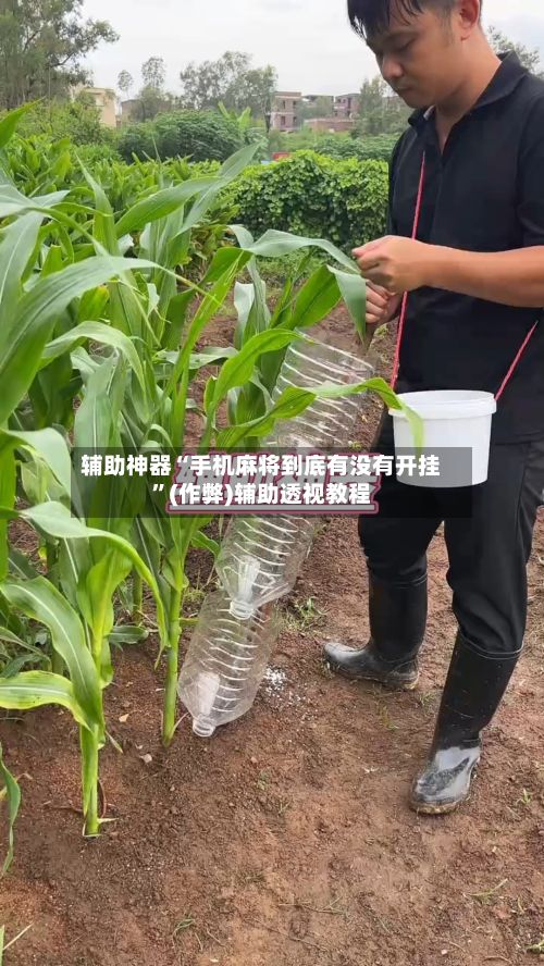 辅助神器“手机麻将到底有没有开挂”(作弊)辅助透视教程-第3张图片