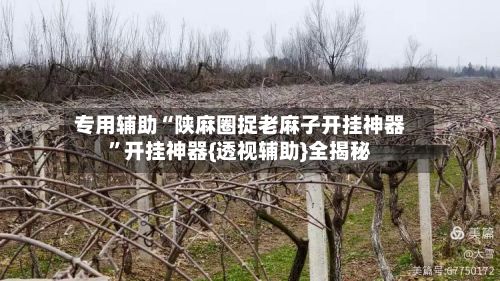 专用辅助“陕麻圈捉老麻子开挂神器	”开挂神器{透视辅助}全揭秘-第3张图片