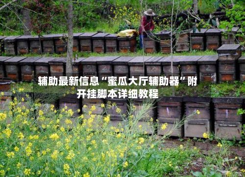 辅助最新信息“蜜瓜大厅辅助器”附开挂脚本详细教程