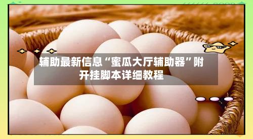 辅助最新信息“蜜瓜大厅辅助器”附开挂脚本详细教程-第3张图片