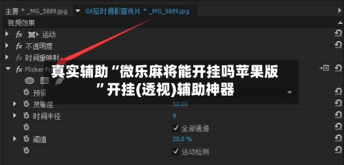 真实辅助“微乐麻将能开挂吗苹果版	”开挂(透视)辅助神器-第2张图片