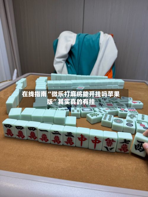 在线指南“微乐打麻将能开挂吗苹果版	”其实真的有挂-第2张图片