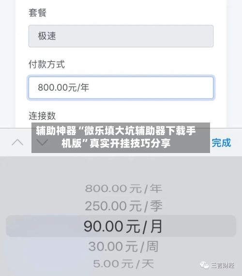 辅助神器“微乐填大坑辅助器下载手机版”真实开挂技巧分享